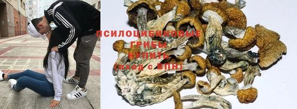 мдма Карпинск
