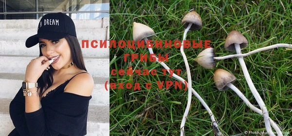 MDMA Premium VHQ Карталы