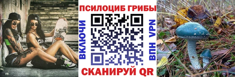 Псилоцибиновые грибы ЛСД  Купить  Буйнакск 